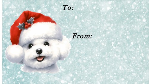 Bichon frise dog christmas - frise,