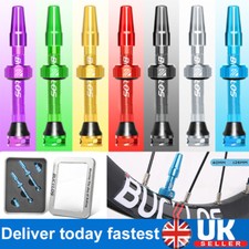 Tubeless Tire Presta Valve Set 44/55/65/80mm MTB Road Bike Removable F/V Valve