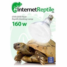 Internet Reptile Mercury