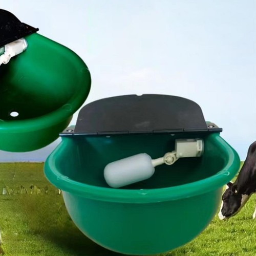Automatic cow drinking water - drinking,