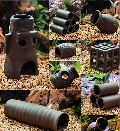 Fish tank caves cichlid - fish,