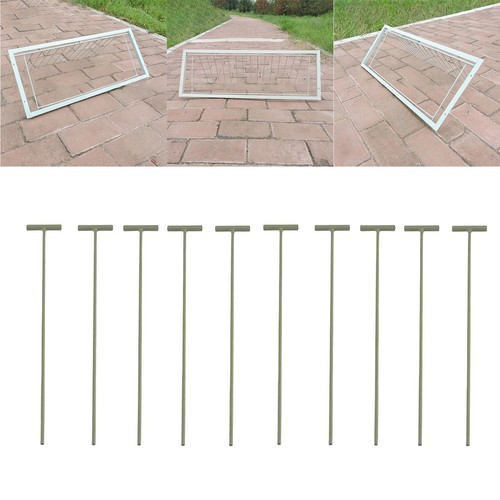 10x pigeon birds - entrance, t