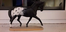 Horsing Arourd stablemate