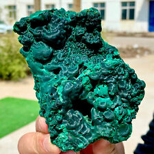 484G Natural tortoise Malachite transparent cluster coarse mineral sample