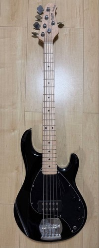 Musicman string bass - musicman, 5-string
