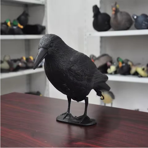 Life size crow decoy - size,