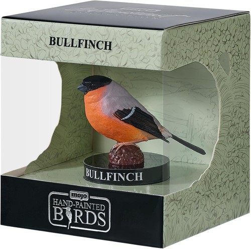 European bullfinch enthusiast - european,