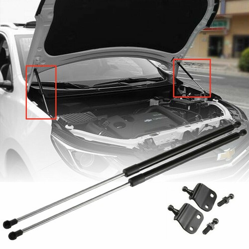 Universal gas struts - 2x,