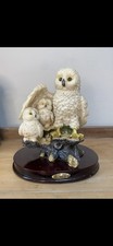 Family Of Owls, The Juliana
