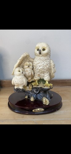 Family owls the juliana - the,