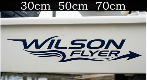 30cm 70cm wilson flyer - wilson,