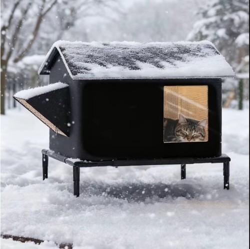Four seasons outdoor cat - four,