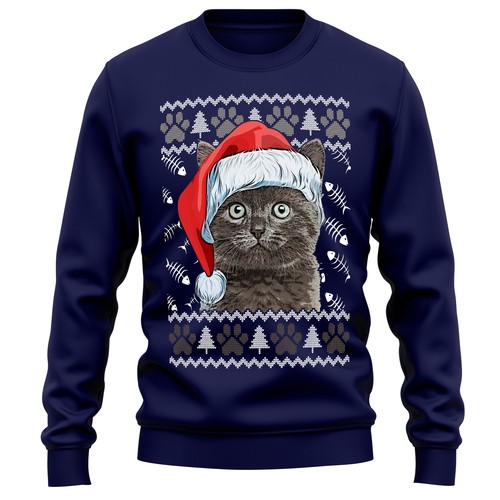 British shorthair cat - british,