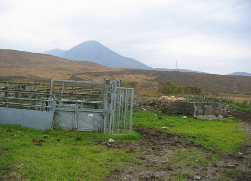 Photo 6x4 cattle crush - photo,