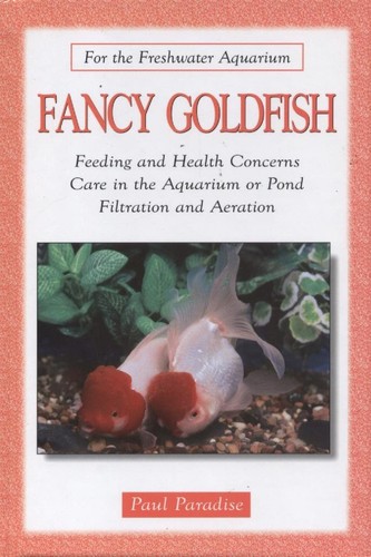 Fancy goldfish - fancy,