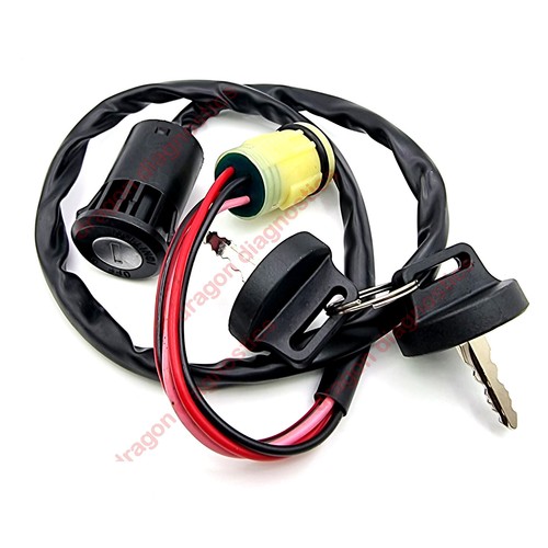 Pin wire quad ignition - 4,