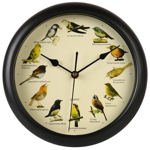 Singing bird wall clock - singing,