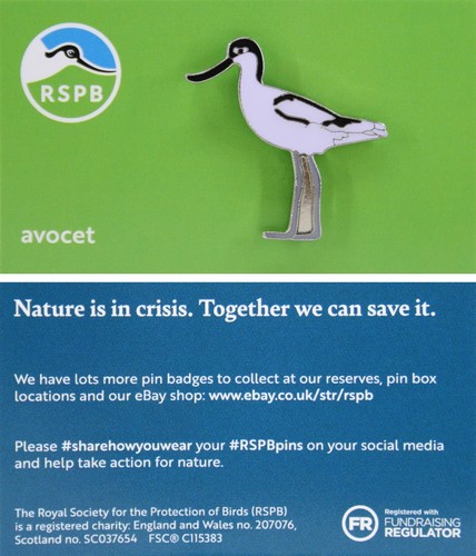 Rspb pin badge niic avocet - rspb,