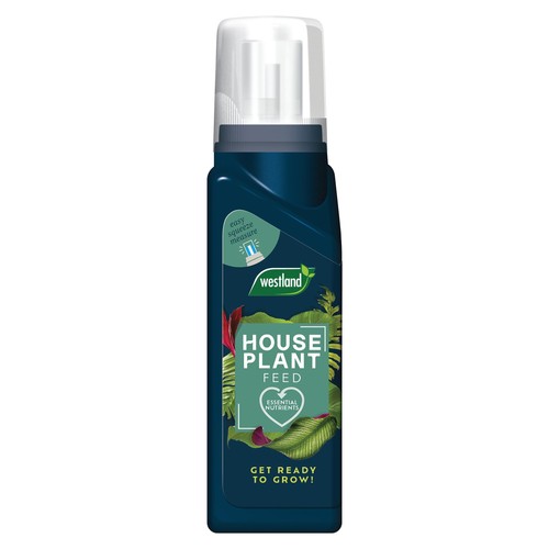 Westland houseplant feed - houseplant,