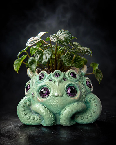 Tentacle plant pot many - pot,