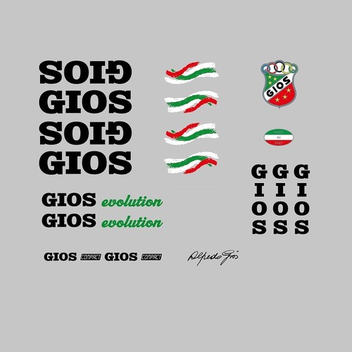 Gios evolution bicycle frame - "evolution",