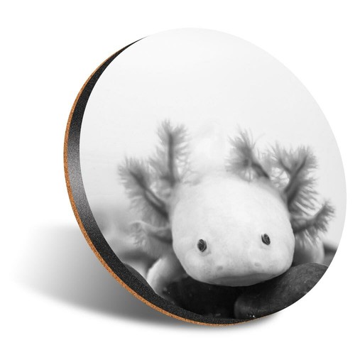 Round 12cm coaster bw - coaster,