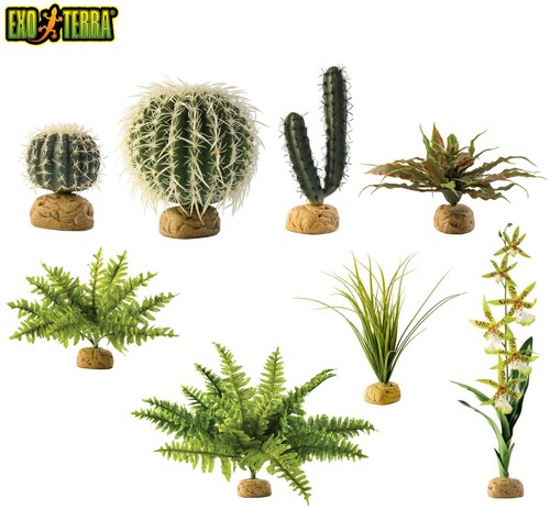 Exo terra reptile plants - terra,