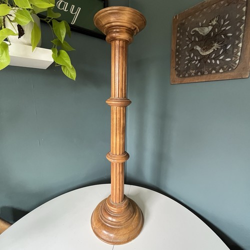 Vintage beech fluted plant - beech,