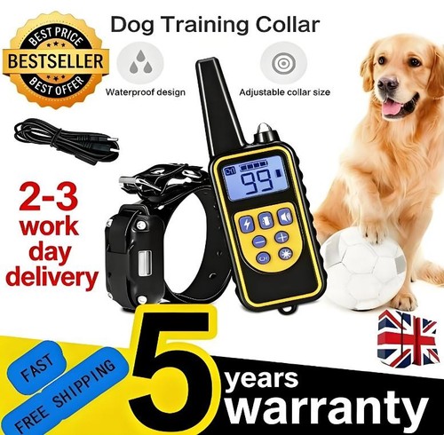 800m electric pet dog - 800m,