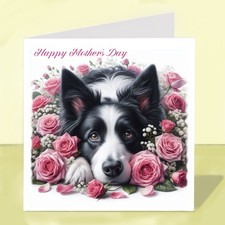Border Collie Dog Mother’s