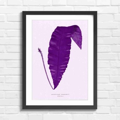 Vintage botanical fern leaf - botanical,