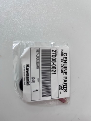 New geniune kawasaki zzr - new,