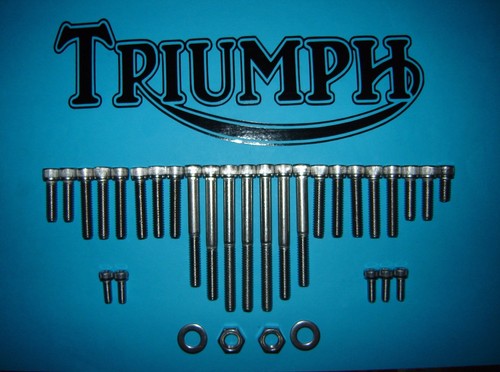 Triumph t100 500cc - t100,