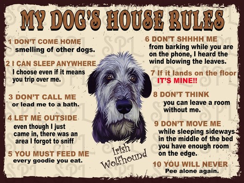 Dog house rules irish - dog's,
