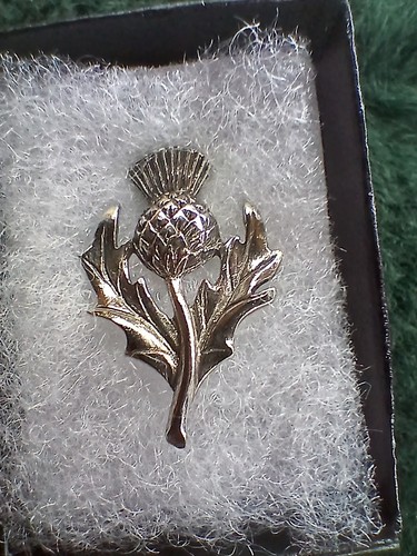 Vintage scottish thistle - scottish,