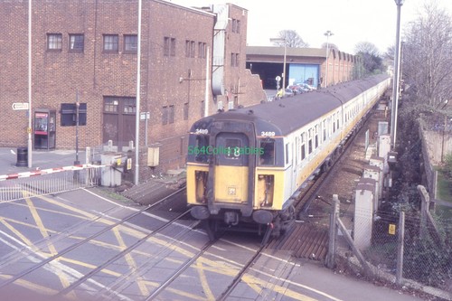 S172 35mm slide - slide, emu