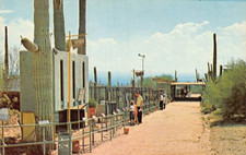 Postcard AZ: Water Street