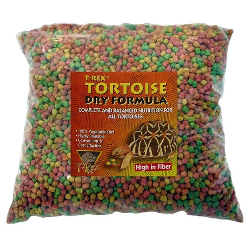 Rex complete dry tortoise - t-rex,
