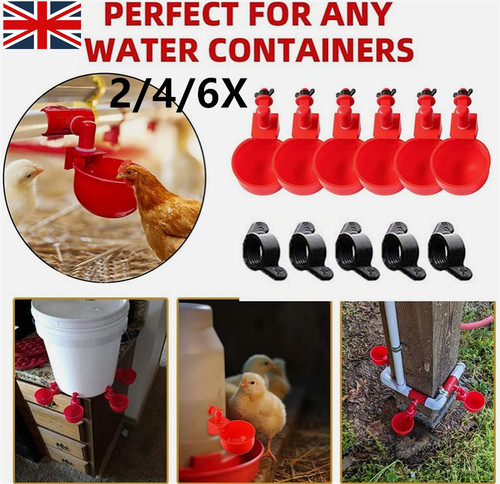 Automatic water cup - 2-6x,