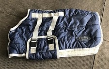 Shires Blue Foal Rug With