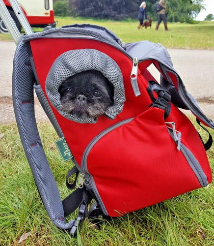 Hunter pet carrier - ,