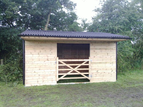 10ft 14ft animal horse - x,