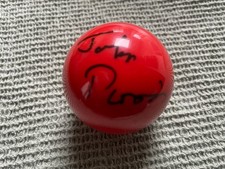 John Parris Snooker Cue Genius