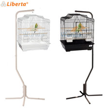 LIBERTA SIAM BUDGIE CANARY