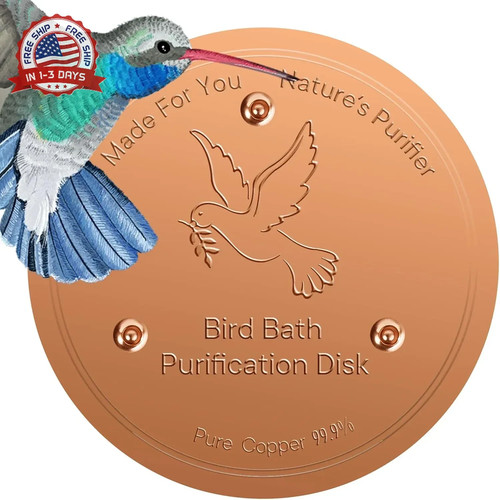 Bird bath copper disc - bath,
