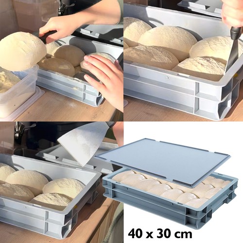 Pizza dough proofing - pizza, box