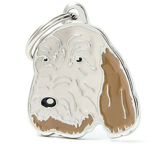 Italian spinone dog - italian,