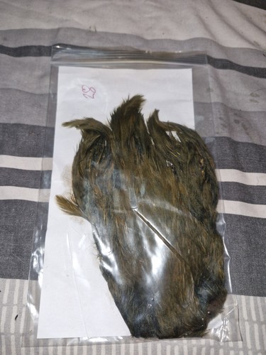 Hen cape fly tying - hen, cape,fly