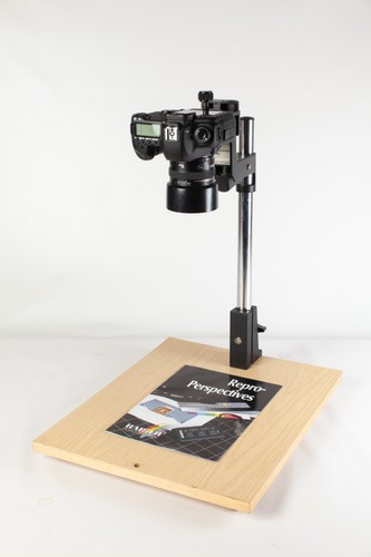 Krokus compact copy - compact, stand