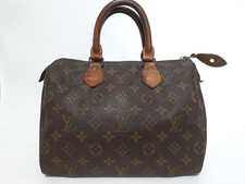 Louis Vuitton Monogram Speedy